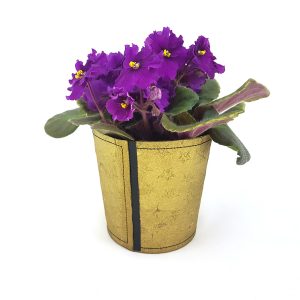 Flex Gold Stars Pot Large