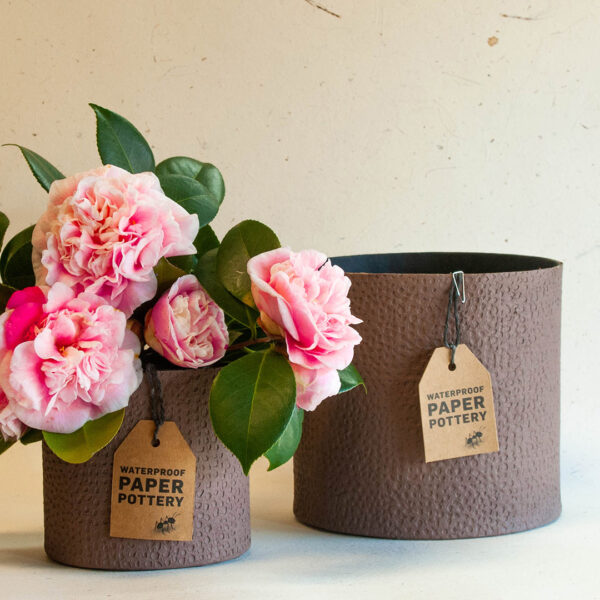 Durack Nutmeg Pot Set - Image 2