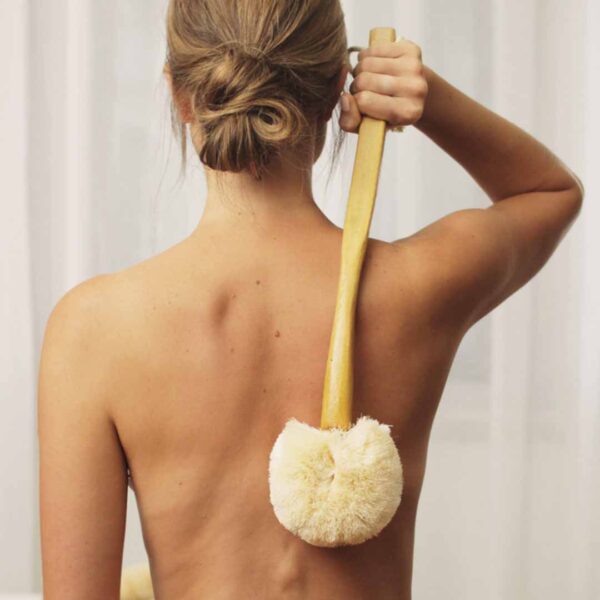 ECOMAX Back Brush Long Handle - Image 3