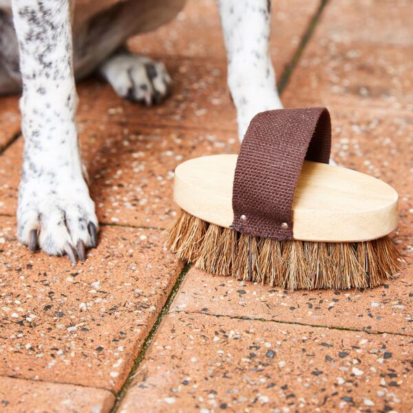 ECOMAX Pet Grooming Brush - Image 3