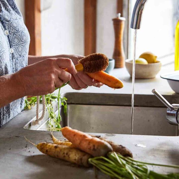 ECOMAX Vegie Brush with Handle - Image 3
