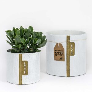 White Hearts Pots