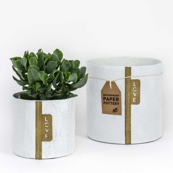 White Hearts Pots