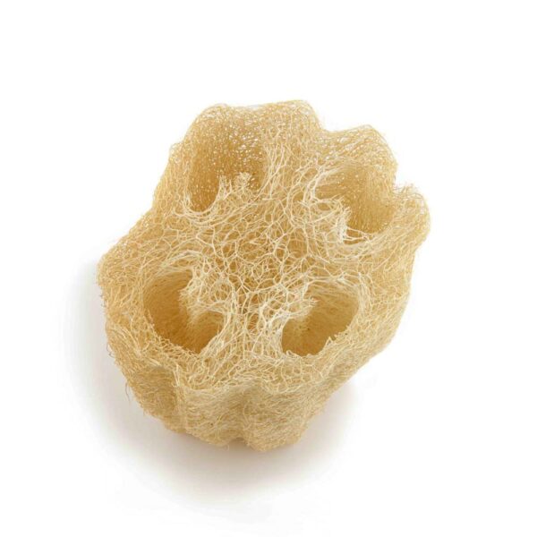 ECOMAX Cleopatra Loofah - Image 2
