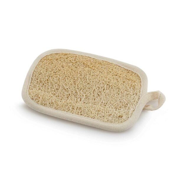 ECOMAX Scourer + Washpad - Image 4