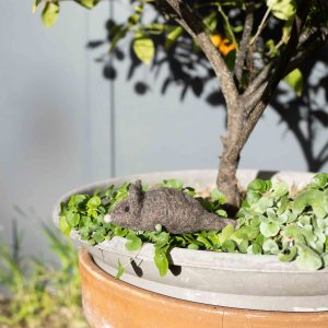 Pounce & Play Wool Toy Brown