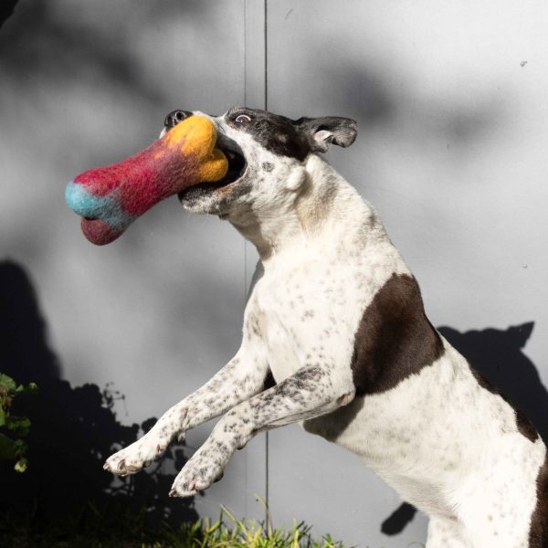 Chew & Play Wool Toy Rainbow Large - Image 2