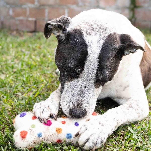 Chew & Play Wool Toy Polkadot White Small - Image 4