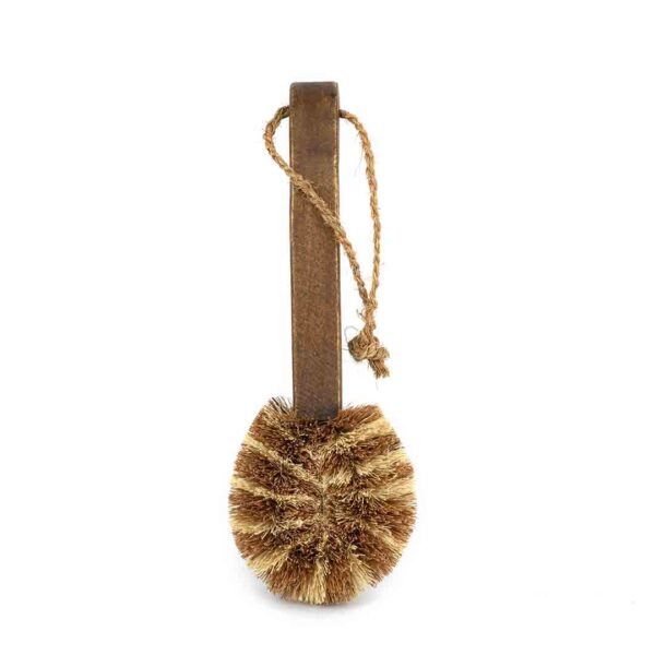 ECOMAX Premium Dish Brush - Image 2